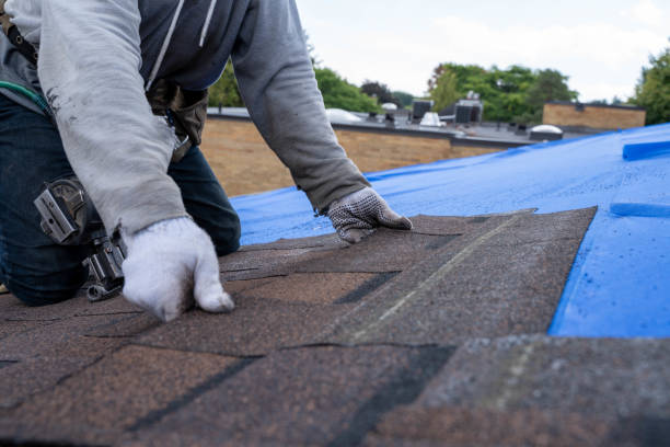Reliable Dewitt, MI Roofing Contractor Solutions