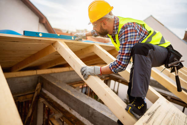 Best Roof Leak Repair  in Dewitt, MI