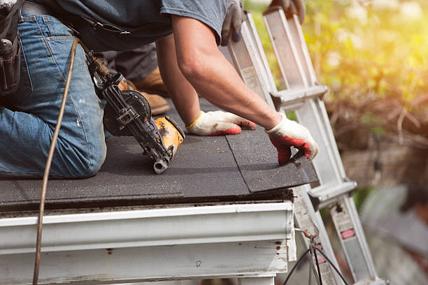 Best Residential Roofing Contractor  in Dewitt, MI