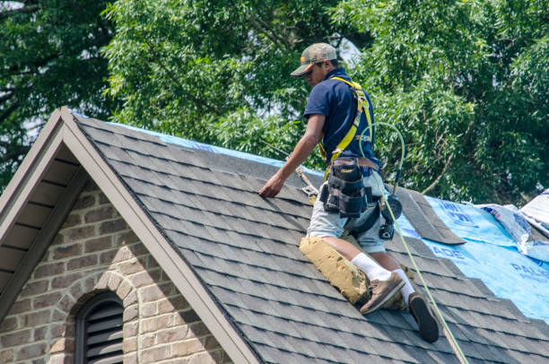 Best New Roof Installation  in Dewitt, MI